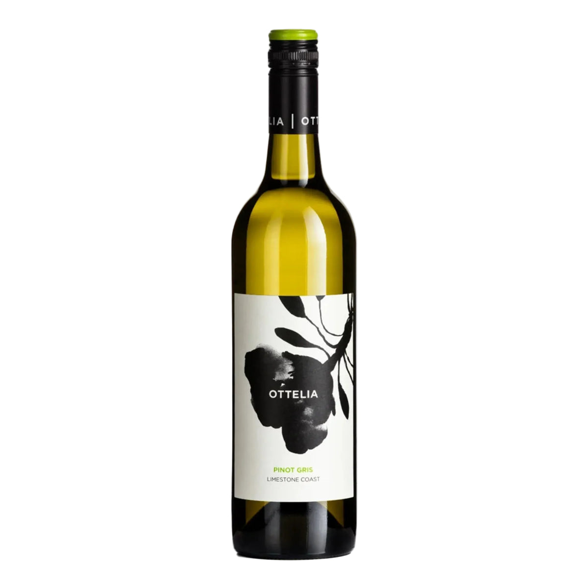 2025 Ottelia Pinot Gris