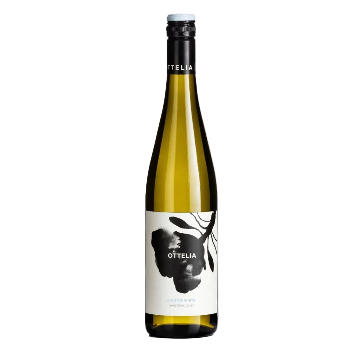 2025 Ottelia ‘Anytime White’